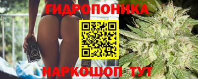 прущий лед Гусь-Хрустальный