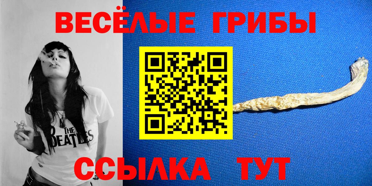 Мытищи  купить наркоту  Вход с VPN  Псилоцибиновые грибы GOLDEN TEACHER 